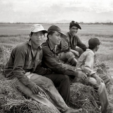 Silva Wischeropp, Young Ricefarmers - Nha Trang - Vietnam - Südost Asien (Vietnam, Asia)