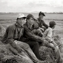 Wandbild von Silva Wischeropp: fröhliche Reisbauern in einem Reisfeld in Vietnam.