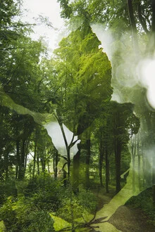 Photo art by Nadja Jacke: double exposure leaves in Teutoburg Forest