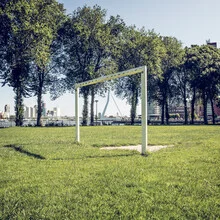 Fotokunst von Franz Sussbauer: Rasen, Bäume und Erasmusbrücke in Rotterdam
