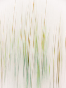 Holger Nimtz, Lines of nature - Germany, Europe)