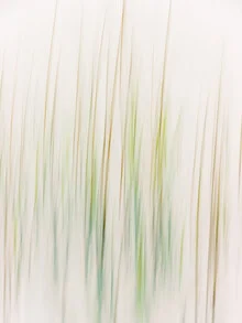 Lines of nature - fotokunst von Holger Nimtz