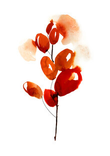 Ekaterina Koroleva, Cherries