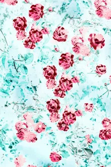 Illustration von Uma Gokhale: traumhafte florale Komposition mit bunten Blüten