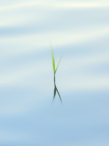 Holger Nimtz, Beauty of Minimalism - Germany, Europe)