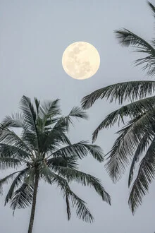 Charming photo art of a full moon night over the sea with palm trees.