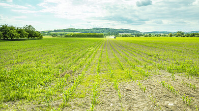 Vision Praxis, Bodensee 7 (Germany, Europe)