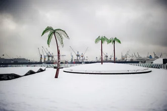 Photo art by Amaar Ujeyl: calm harbor view with clouds and palm trees