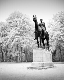 Ronny Behnert, Tiergarten Study 8 - Amazone
