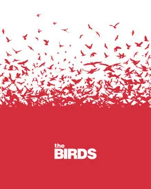 Illustration by Rahma Projekt: minimalist depiction of birds in the air