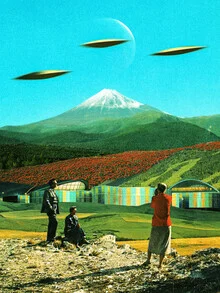 Wall art by Taudalpoi: cheerful landscape with UFOs and colorful flowers in the sky