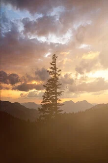 Friedliche Landschaft mit einem Baum und Bergen im Hintergrund bei Sonnenuntergang.