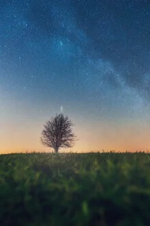 Fotokunst von Max Saeling: Nachthimmel mit Sternen und einem Baum im Vordergrund