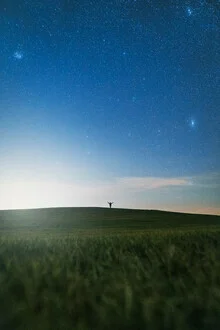 Photo art by Max Saeling: Person gazing at the star-filled night sky.