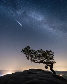 Starry sky over the Elbe Sandstone Mountains with pine trees in the foreground