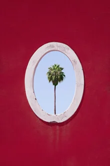 Photo art by Rupert Höller: Minimal depiction of a palm tree by a window