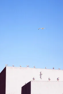 Photo art by Rupert Höller: minimalist depiction of a business meeting