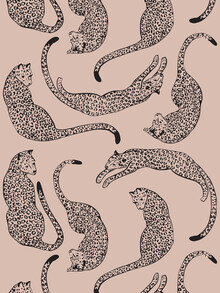 Genna Campton, Pink Leopard Love (Australien, Australien und Ozeanien)
