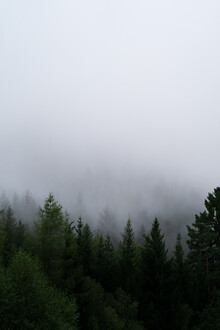 Max Saeling, Into the wild - Österreich, Europa)