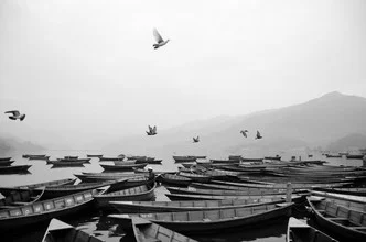 Photo art by Marco Entchev: birds flying over the Himalayas in fog