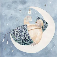 Wall art by Claudia Voglhuber: night sky with stars and a bird