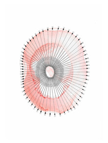 The Artcircle, Coral Spawning von Katherine Heald (Australien, Australien und Ozeanien)