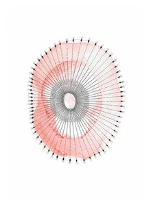 Wandbild von The Artcircle: abstrahierte Korallenlaichung in sanften Farben