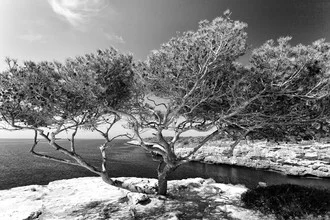 Photo art by Angelika Stern: calm black-and-white capture of Cala Pi in Mallorca.