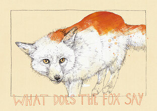 Sabine Israel, Fox