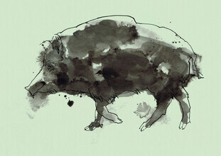Sabine Israel, Wild Boar