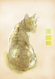 Sabine Israel, cat