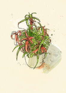 Sabine Israel, Cactus (Greece, Europe)