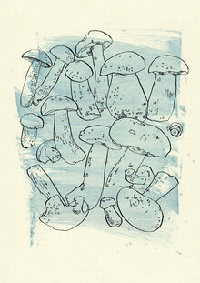 Sabine Israel, Mushrooms (Germany, Europe)