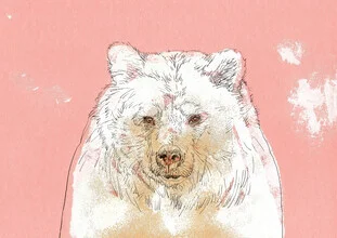 Polar bear - Fineart photography by Sabine Israel