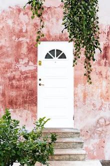 Illustration featuring a vibrant tropical door inviting inner peace.