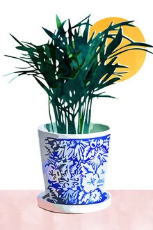Illustration by Uma Gokhale: colorful plants in a modern style