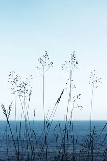 Photo art by Manuela Deigert: gentle view of the blue Baltic Sea water