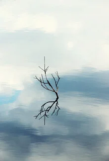 Photo art by Manuela Deigert: calm water reflection under a clear sky