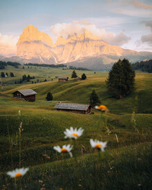 André Alexander, Alpe di siusi