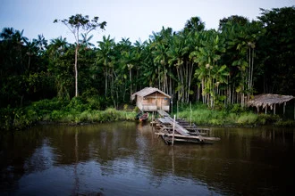 Charming wooden house in the Amazon, surrounded by lush rainforest and soft sunlight.