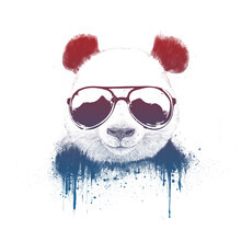 Balazs Solti, Stay Cool II (Hungary, Europe)