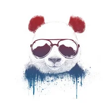 Wall art by Balazs Solti: cute panda wearing sunglasses in a summer vibe