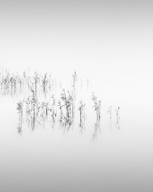 Holger Nimtz, Reed