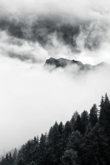 Photo art by Thomas Kleinert: misty forest with soft trees and clouds