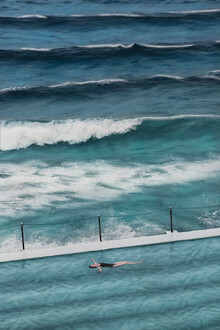 AJ Schokora, Day Swimmer