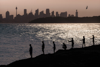 AJ Schokora, Sydney Fishermen