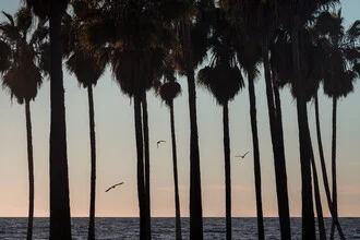 Fotokunst: entspannender Sonnenuntergang über Palmen am Strand