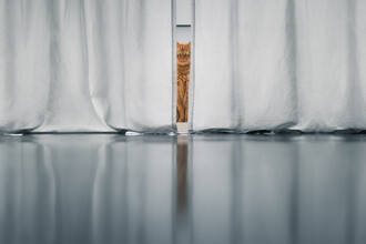 AJ Schokora, Eyes on You