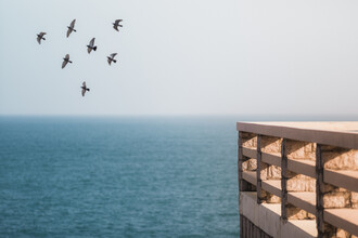 AJ Schokora, Shekou Pier - Hong Kong, Asia)