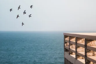 Photo art by AJ Schokora: Pier with flying seagulls and a calm water horizon.